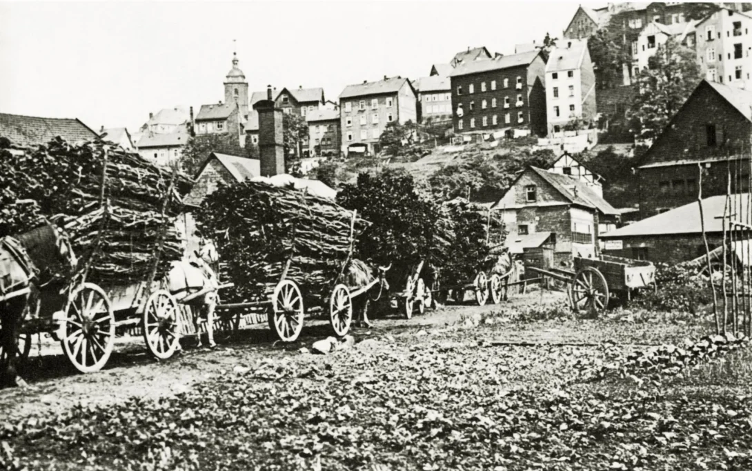 Transport von Eichenlohe aus dem Hauberg zur Lohmühle